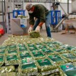 Rosario tiene una empresa pública de alimentos, para bajar el precio y mejorar la situación de productores