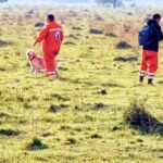 Caso Loan: ordenan nuevos rastrillajes en la zona de «El Algarrobal»