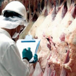 China inició una investigación sobre las importaciones de carne vacuna argentina