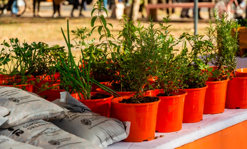 Se viene el último canje de reciclables del año en plaza Italia