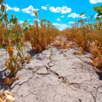 El Ministerio de Economía declaró la emergencia agropecuaria por sequía para Santa Fe