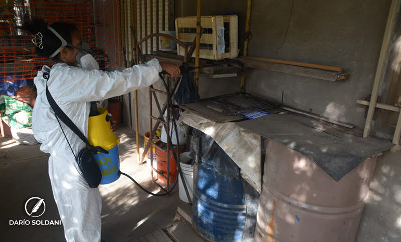 Aseguran que la situación del dengue en Rosario “es favorable” gracias a las medidas ambientales