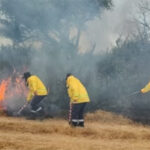 Voraz incendio forestal en Campana afectó al Parque Nacional Ciervo de los Pantanos