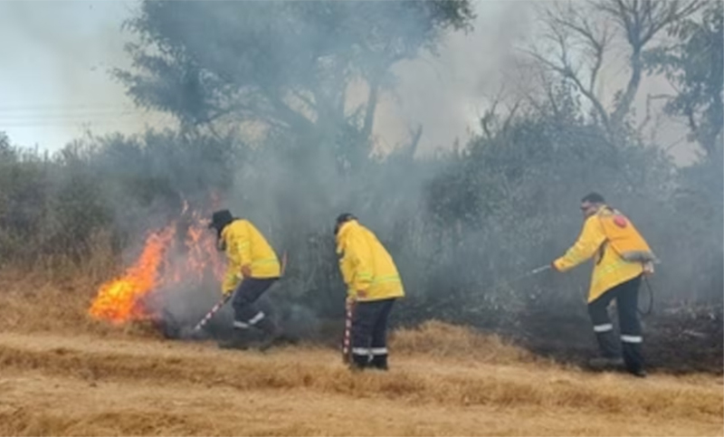 Voraz incendio forestal en Campana afectó al Parque Nacional Ciervo de los Pantanos