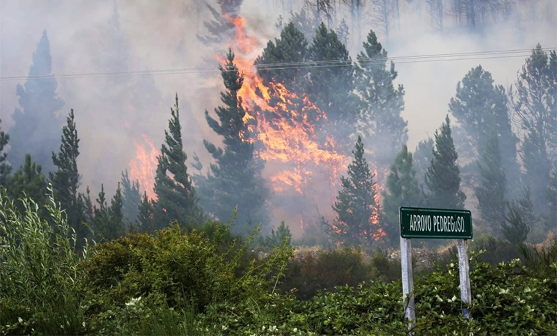 Los incendios en Epuyén y el Parque Nacional Nahuel Huapi ya consumieron 11.000 hectáreas