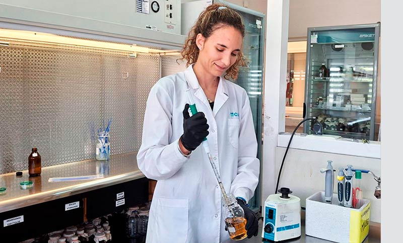 Investigadores del Conicet descubrieron que el extracto de maní inhibe el virus del dengue