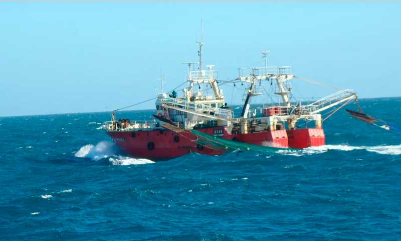 Pesca: funcionarios ineptos y empresarios sin estrategia
