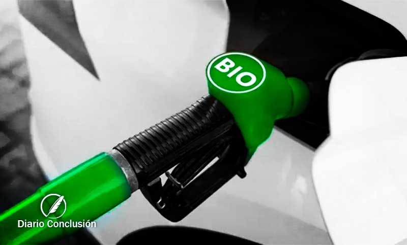 Autorizan primer aumento anual del valor del biodiesel y esperan repercusión en el precio del gasoil