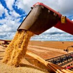 Retenciones: para pequeños productores “es una rebaja a medida de los grandes pools y fideicomisos”