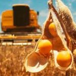 Baja de retenciones: Federación Agraria y el Socialismo coinciden en que se busca la liquidación de dólares