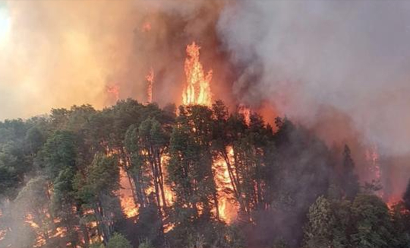 Los incendios en el Parque Nahuel Huapi ya afectaron más de 2.200 hectáreas