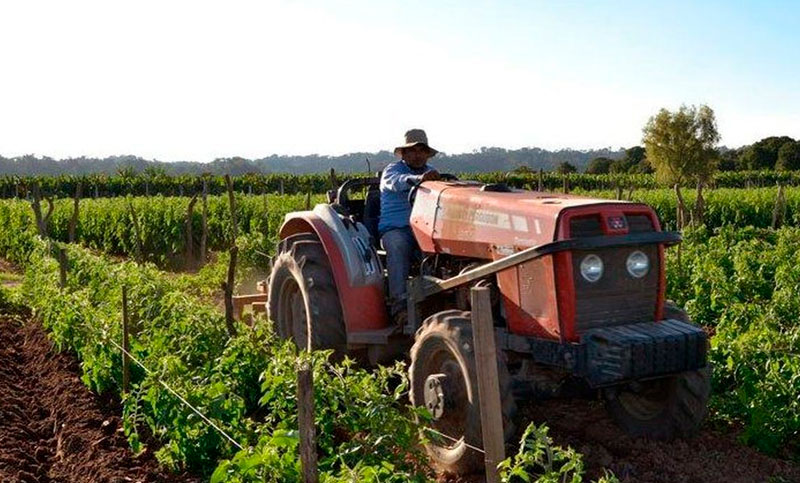 Un nuevo paradigma en el agro argentino