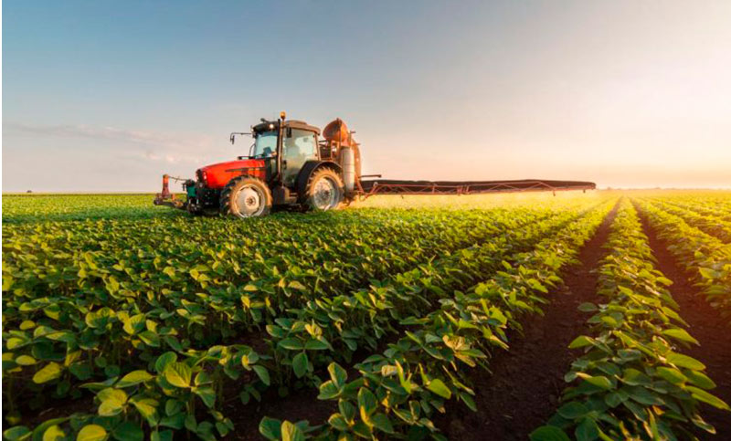 La baja en las retenciones agrícolas tendrá un costo fiscal de 800 millones de dólares