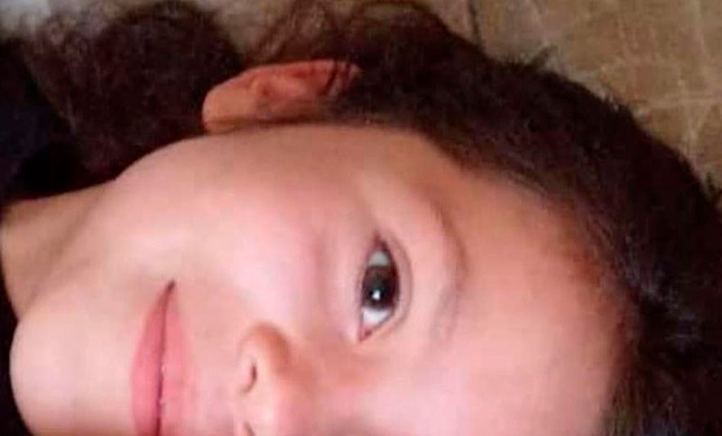 La Plata: una niña falleció al ser arrastrada por delincuentes en el robo de un auto