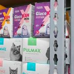 Incautaron medicamentos para perros y gatos que se vendían de forma ilegal