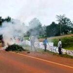 Productores yerbateros protestan por pagos exiguos y afirman que «la situación no da para más»