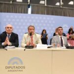 Hay dictamen: el próximo jueves Diputados tratará la suspensión de las PASO