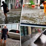 Tremenda tormenta: grandes anegamientos, árboles caídos y cortes de luz y agua en casi todos las barrios de Rosario