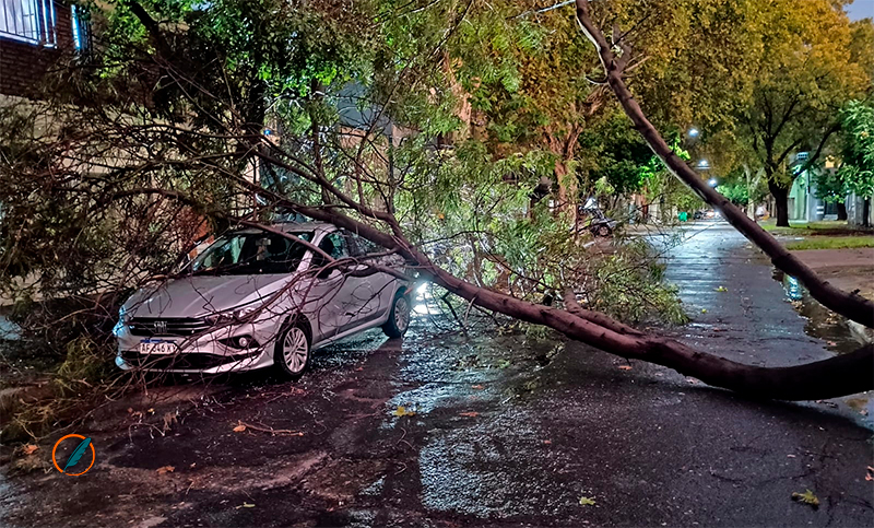 Temporal en Rosario: alrededor de 280 denuncias por inundaciones de calles y caída de árboles, columnas y cables