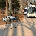 Innovación en seguridad terrestre: perros robots realizan tareas de patrullaje en China