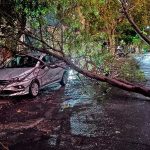 Feroz tormenta sacudió la región y un motociclista se encuentra grave tras la caída de una rama