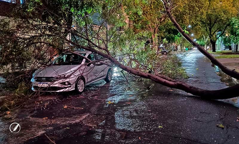 Feroz tormenta sacudió la región y un motociclista se encuentra grave tras la caída de una rama