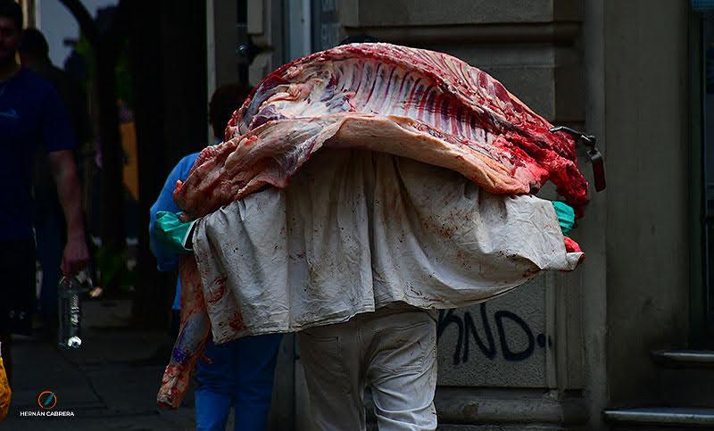 La exportación de carne afecta al mercado interno: se destinan menos animales y los precios no bajan