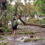 Con vientos de más de 100 kilómetros por hora, el temporal en Casilda dejó múltiples destrozos 