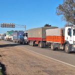 La venta de soja creció en los últimos días y colapsaron los ingresos al Gran Rosario