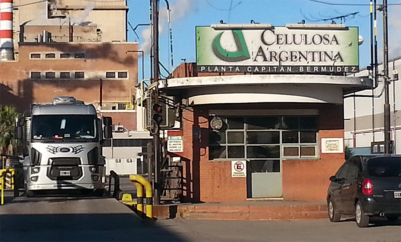 Celulosa: rebajan su calificación en el mercado por default técnico