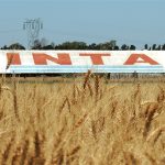 El Gobierno avanza con el desguace del Inta: “Están haciendo cualquier mamarracho para achicar el Estado”