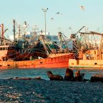 Crisis en el sector pesquero: empresas dicen que no pueden afrontar salarios y paralizaron la actividad 