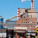 Celulosa informó que no podrá pagar los pasivos de mayo y ya son cinco las empresas deudoras en 2025