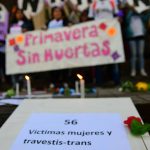 La Asamblea LesboTransFeminista de Rosario quiere participar de la reforma constitucional