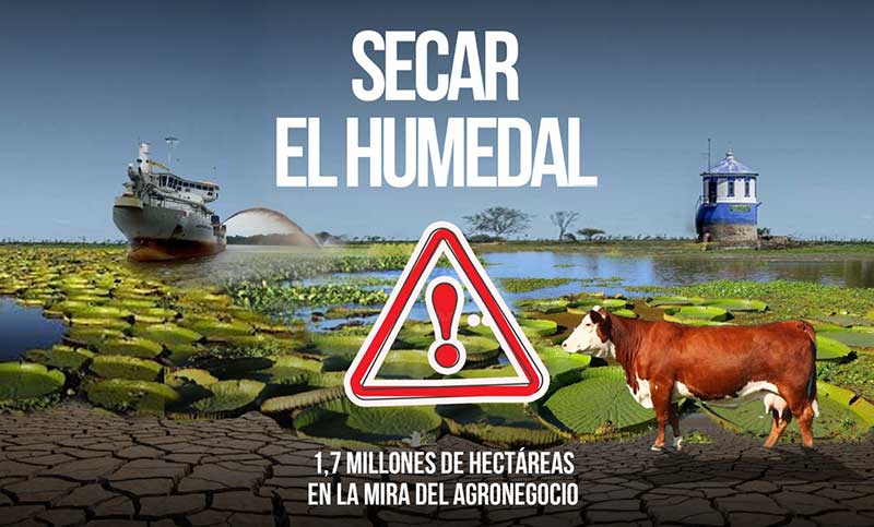 Secar el humedal: 1,7 millones de hectáreas en la mira del agronegocio