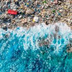 Día Mundial del Medio Ambiente: la necesidad de erradicar la contaminación por plástico