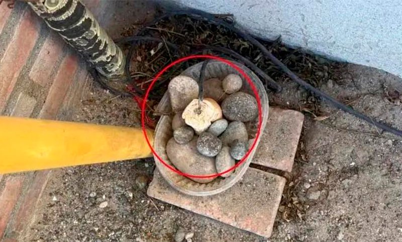 Chubut: denuncian que una vecina puso un pan con un cable en la puerta de su casa para electrocutar perros