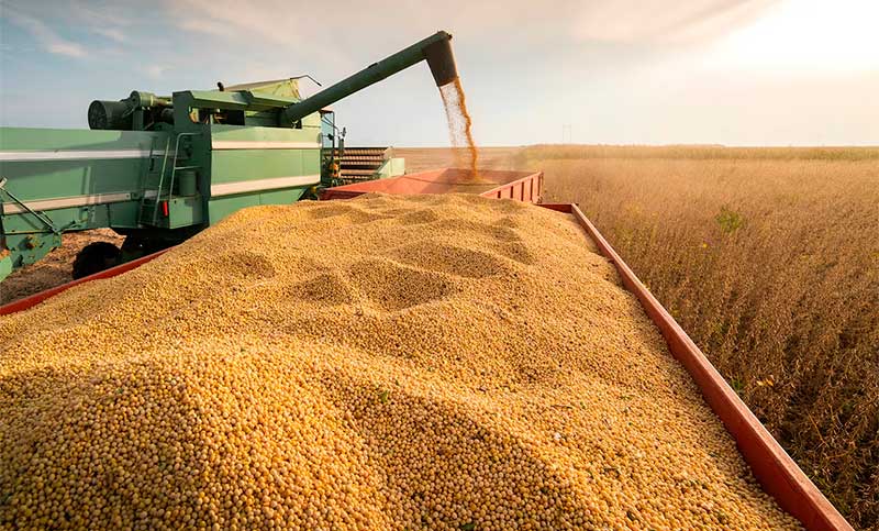 La principal exportación argentina tiene el precio más bajo en 15 años