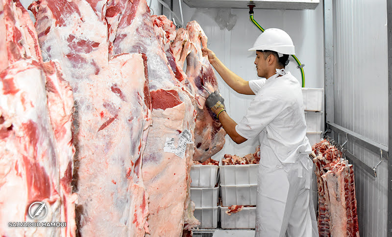 Despiden más de 50 trabajadores en un frigorífico de Mar del Plata por la caída en la faena