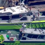 Tras el accidente de Mila Yankelevich investigan sobre las normas náuticas de Miami