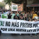 “Constitucionalicenlá”: exigen que el reconocimiento del uso del cannabis quede plasmado en la Constitución santafesina