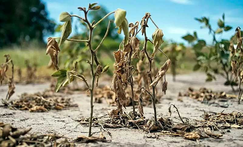 Advierten que podría volver “La Niña” a la Argentina y ya analizan sus posibles efectos