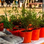 Este viernes habrá canje de reciclables en plaza Ovidio Lagos
