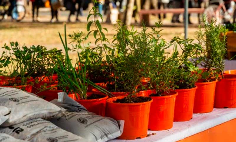 Este viernes habrá canje de reciclables en plaza Ovidio Lagos