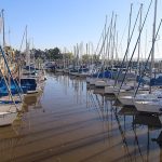 Con vista al río: “Rosario se ha expandido en la náutica y en la vela de una manera enorme»