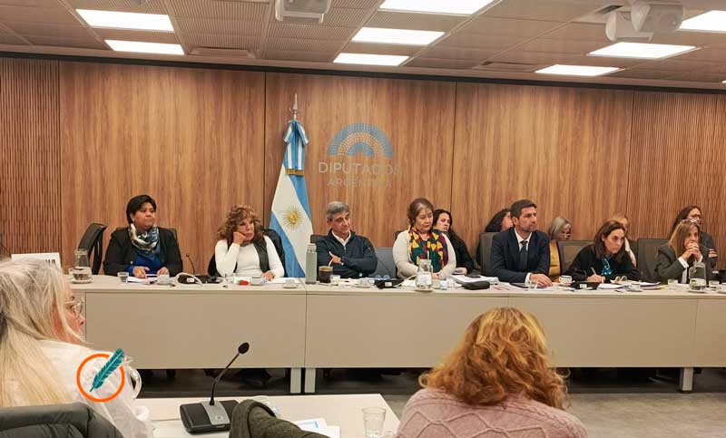 Comisión de Salud: Yedlin dijo que «no se pone en riesgo el equilibrio fiscal» por la Emergencia pediátrica