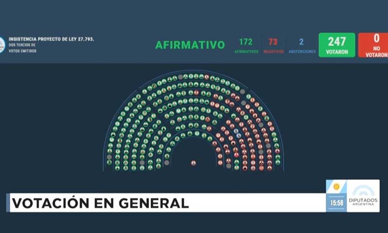 Diputados rechazó el veto de Milei a la Ley de Emergencia en Discapacidad