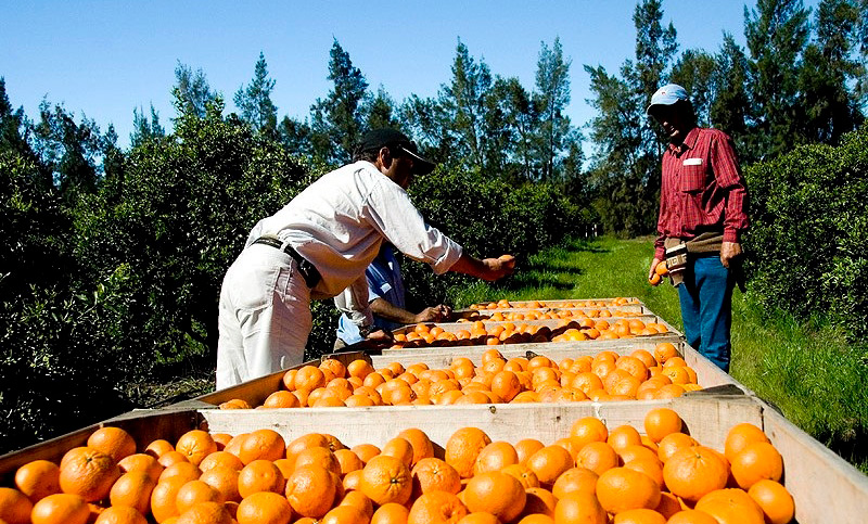 Santa Fe advirtió que las economías regionales quedarán relegadas por cambios en el control nacional de alimentos