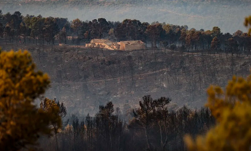 España arde: casi 150.000 hectáreas quemadas en lo que va del año