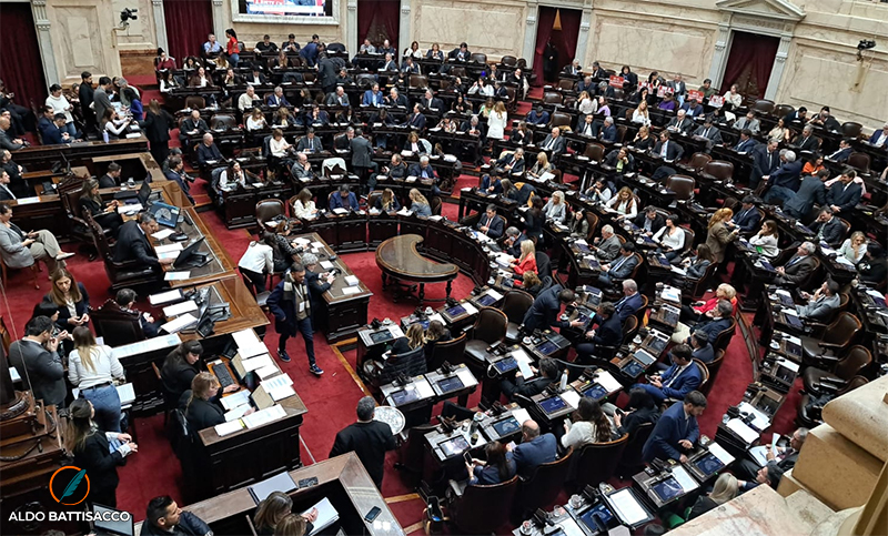 La oposición juntó quorum y ya debate el veto de Milei a la Ley de Emergencia en Discapacidad